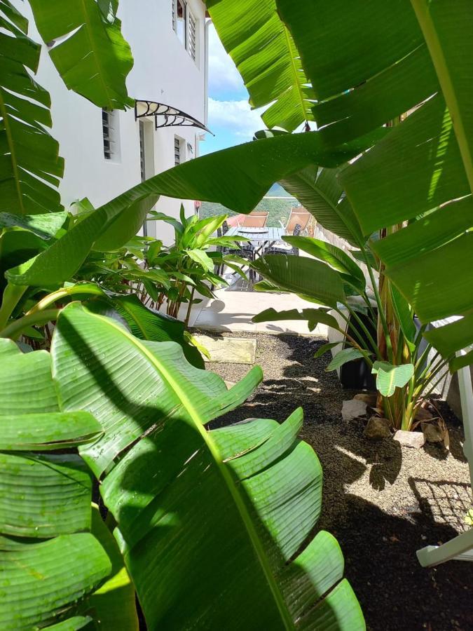 Le Damour Appartement 1 Ou 2 Chambres Les Anses-d'Arlets Kültér fotó